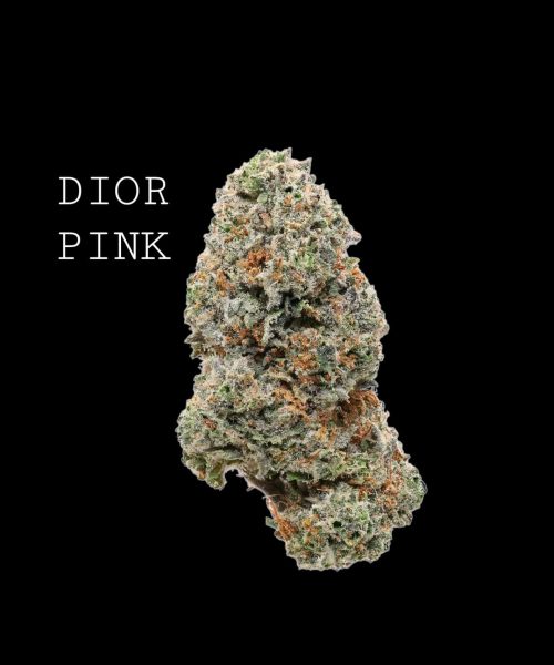 dior pink lso (1)