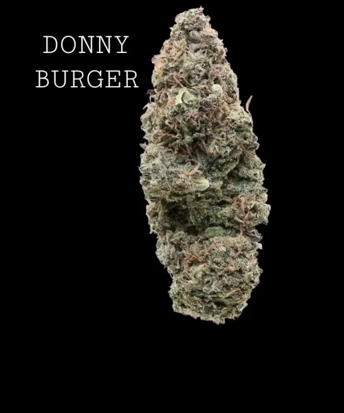 donnyburger-1