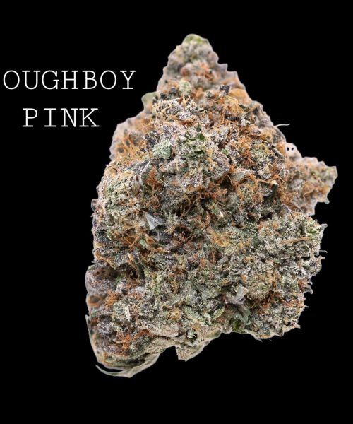 doughboy pink (1)