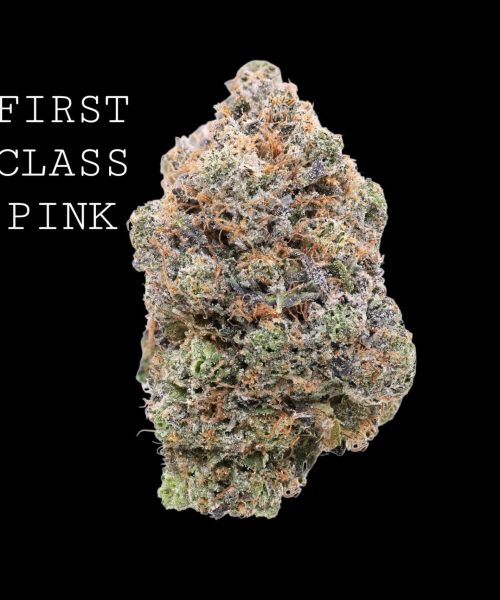 first class pink.jpg