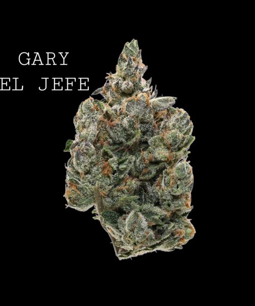 garyeljefe (1)