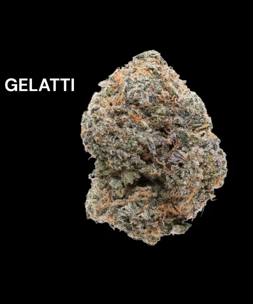 gelatti