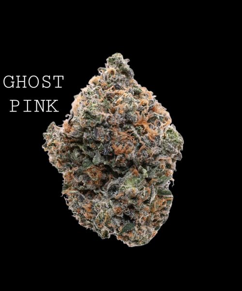 ghost pink (1)