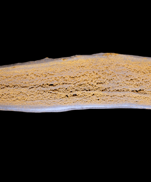 hash