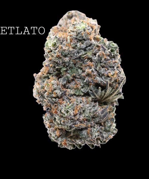 jetlato (1)