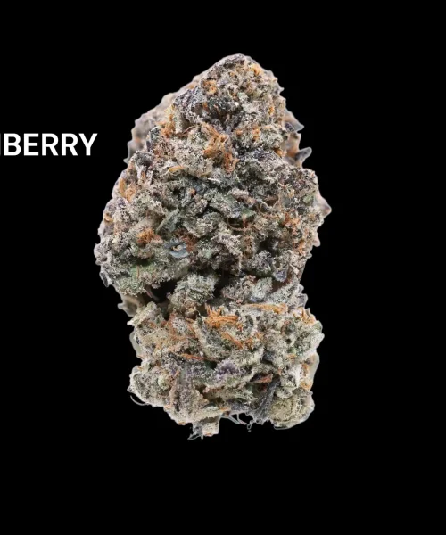 kushberry