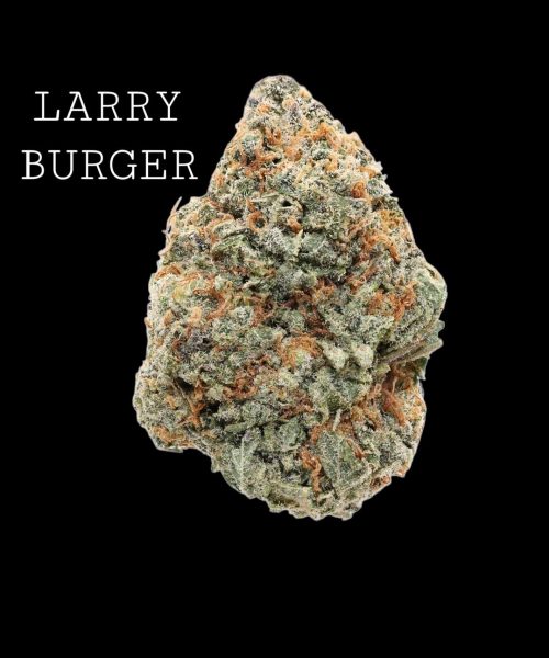 larry-burger-1