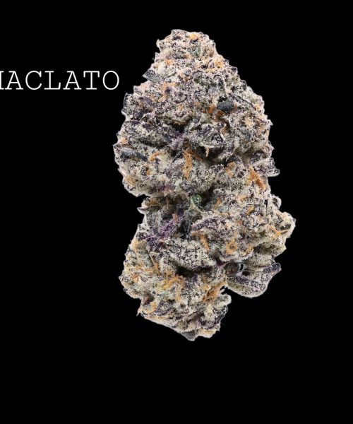 maclato (1)