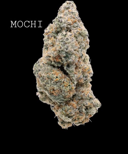 mochi (2)