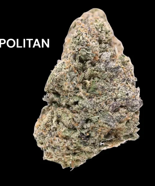 neapolitan
