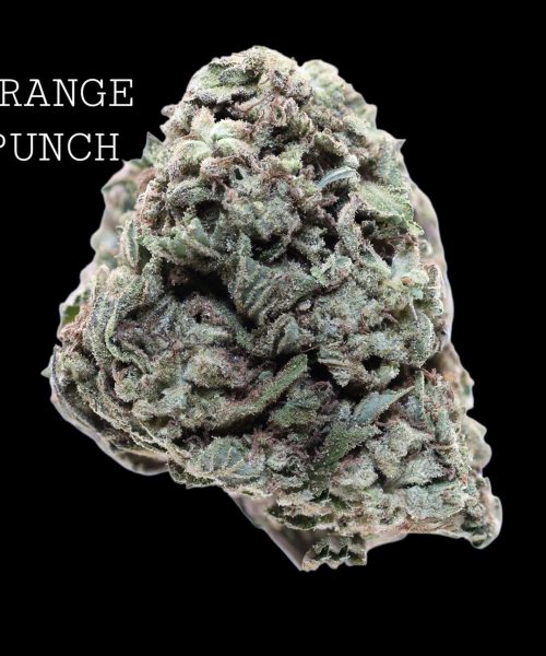 orangepunch (1)