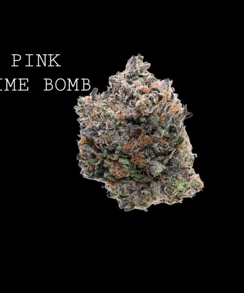 pink bomb (3)
