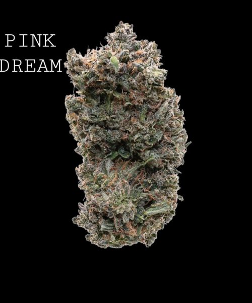 pink dream (1)