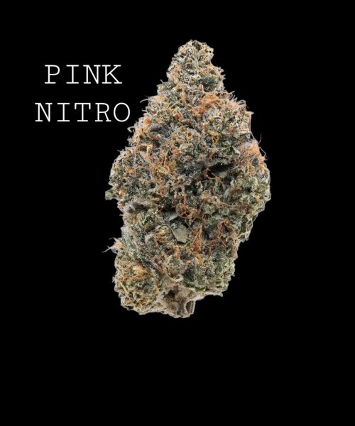 pink-nitro-1