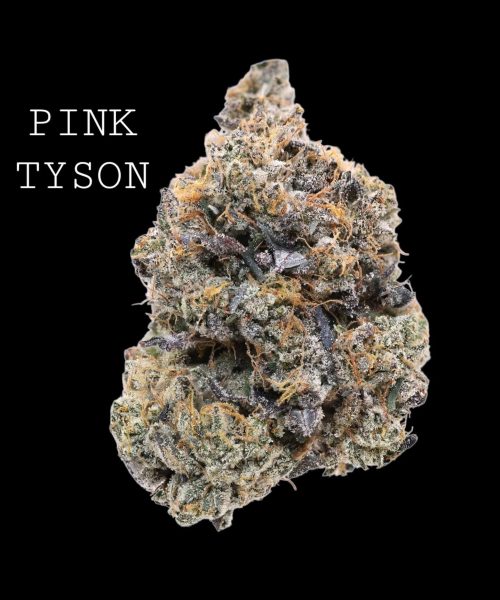 pink tyson (1)