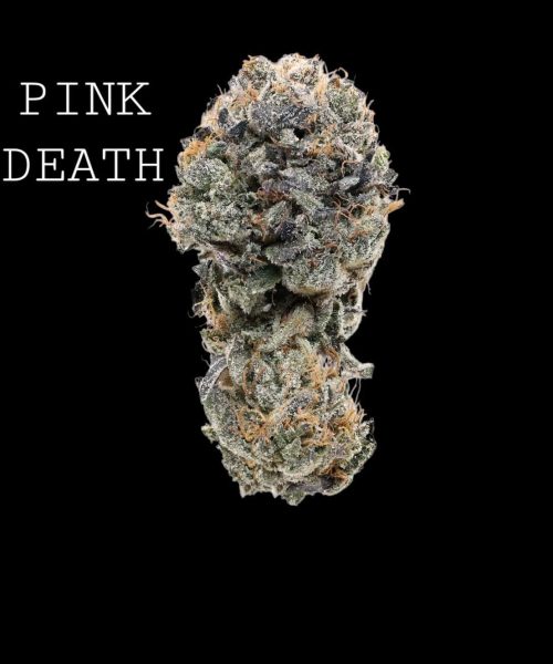 pinkdeath-1