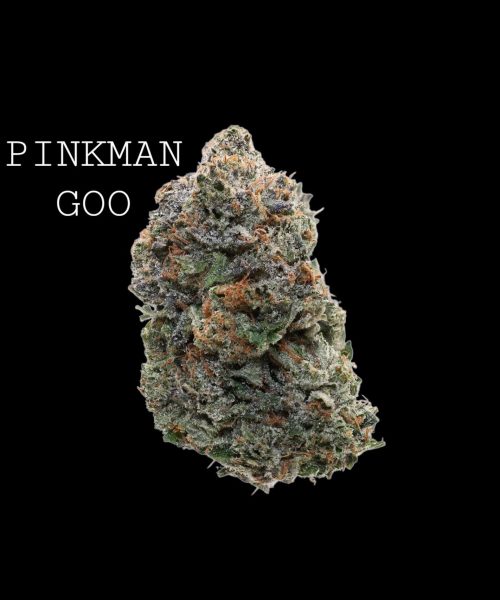 pinkmangoo (1)