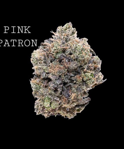 pinkpatron