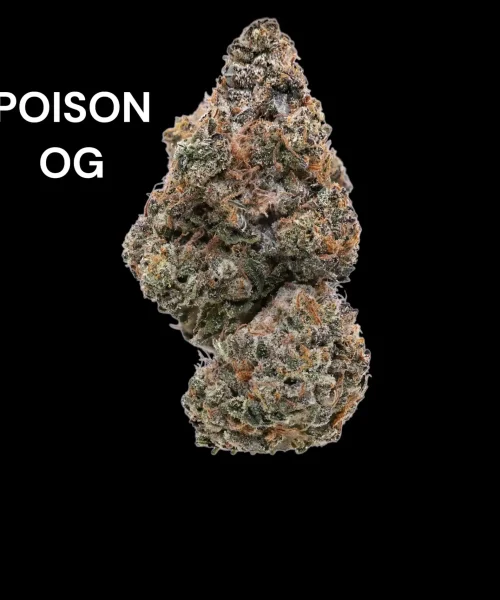 poison-og