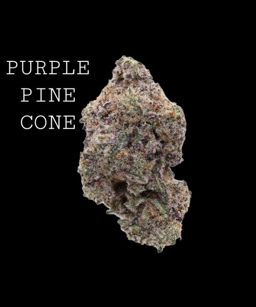 purplepinecone-1