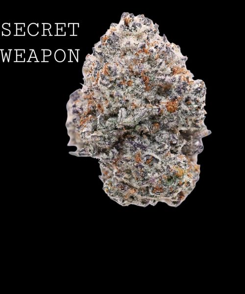 secret-weapon-1