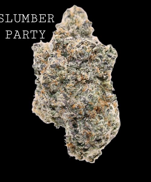 slumberparty-1
